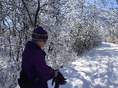 Lyn Jacobs; Ontario Pathways