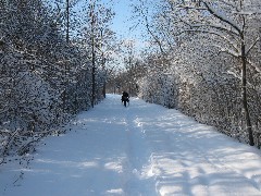 Hiking; Day Trips; Ontario Pathways