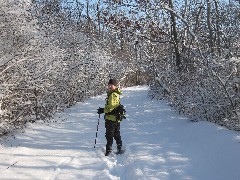 Lyn Jacobs; Hiking; Day Trips; Ontario Pathways