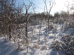 Hiking; Day Trips; Ontario Pathways