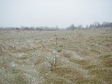 Ontario Pathways Trail