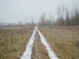 Ruth Bennett McDougal Dorrough; Ontario Pathways Trail day trips