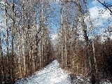 Hiking Day Trips Ontario Pathways