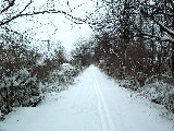 Day Hiking Ontario Pathways Trips