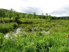 Hiking; Day Trips; Oquaga State Park