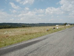 Skyline Drive; Penn Yan; Keuka Lake