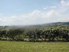 Skyline Drive; Penn Yan; Keuka Lake