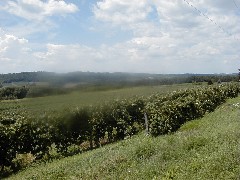 Skyline Drive; Penn Yan; Keuka Lake