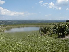 Skyline Drive; Penn Yan; Keuka Lake