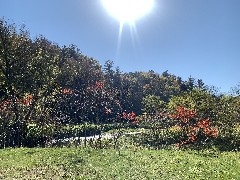 Penn Yan; Keuka Outlet Trail
