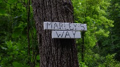 sign Marley s Way