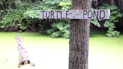 sign Turtle Pond