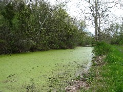 Day Hiking Outlet Trail Penn Yan Trips