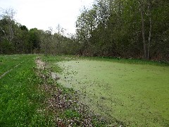 Day Hiking Outlet Trail Penn Yan Trips