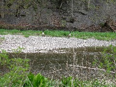 Day Hiking Outlet Trail Penn Yan Trips