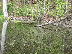 Day Hiking Outlet Trail Penn Yan Trips