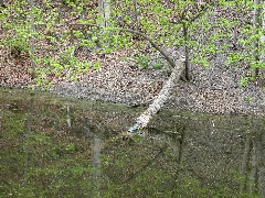 Day Hiking Outlet Trail Penn Yan Trips