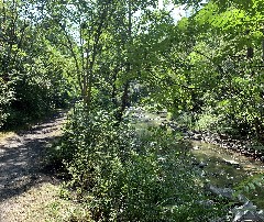 Penn Yan; Outlet Trail