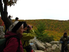 Ruth Bennett McDougal Dorrough; Lyn Jacobs; Hawk Mountain Pennsylvania