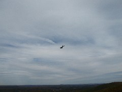 from Hawk Mountain; Warthog airplane