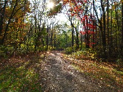 Appalacian Trail Pennsylvania;