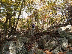 Lyn Jacobs; Appalacian Trail Pennsylvania