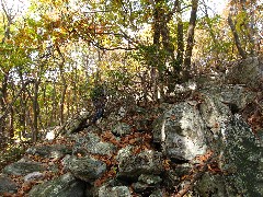 Appalacian Trail Pennsylvania