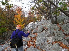 Lyn Jacobs; Appalacian Trail Pennsylvania