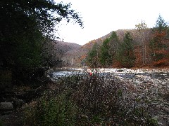 Loyalsock Creek Worlds End State Park; Pennsylvania