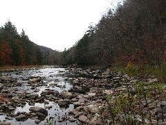 Loyalsock Creek Worlds End State Park; Pennsylvania