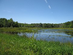 pond; Rattlesnake Hill