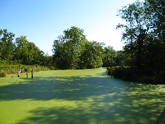 Algae; Hiking; Day Trips; Seneca Cayuga Trail