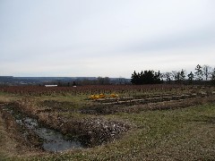 Seneca Lake; Day Trips