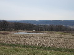 Seneca Lake; Day Trips