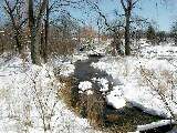 Hiking Day Trips Seneca Lake snow