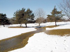 Hiking Day Trips Seneca Lake Willard