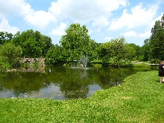 pond at Sonnenberg Gardens