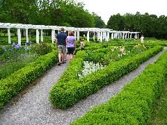 Rose Garden at Sonnenberg Gardens