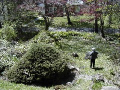 Ruth Bennett McDougal Dorrough; Sonnenberg Gardens Day Trips Hiking