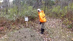 Ruth Bennett McDougal Dorrough; ant hill; Steege Hill Nature Preserve
see comments in DSCF5592 JPG