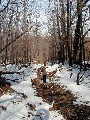 Ruth Bennett McDougal Dorrough; Day Hiking Hill Stid Trips