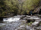 Ruth Bennett McDougal Dorrough; Hiking Day Trips Stony Brook State Park