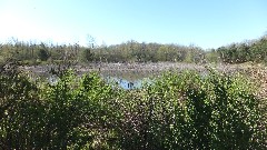 Victor; Apple Orchard Trail; pond