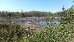 Victor; Apple Orchard Trail; pond