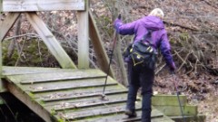 Lyn Jacobs; Apple Orchard Trail