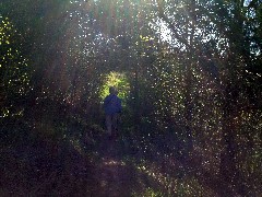 Victor; Apple Orchard Trail