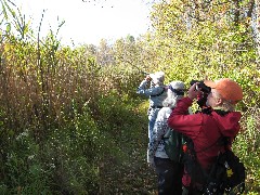 Jean Bub; Ruth Bennett McDougal Dorrough; Lyn Jacobs; Hiking; Day Trips; Victor; Auburn Trail