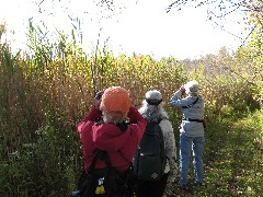 Lyn Jacobs; Ruth Bennett McDougal Dorrough; Jean Bub; Hiking; Day Trips; Victor; Auburn Trail