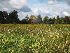 Longhouse; Victor; Ganandogan