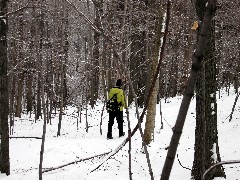 Lyn Jacobs; Day Hiking Trips Victor